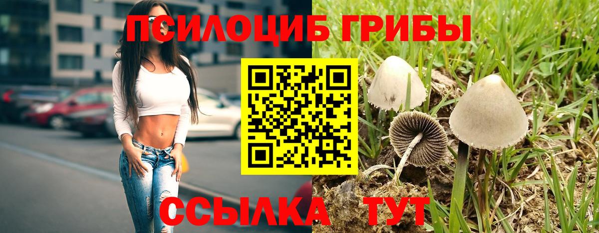 Псилоцибиновые грибы Magic Shrooms  Вход с VPN  Менделеевск 